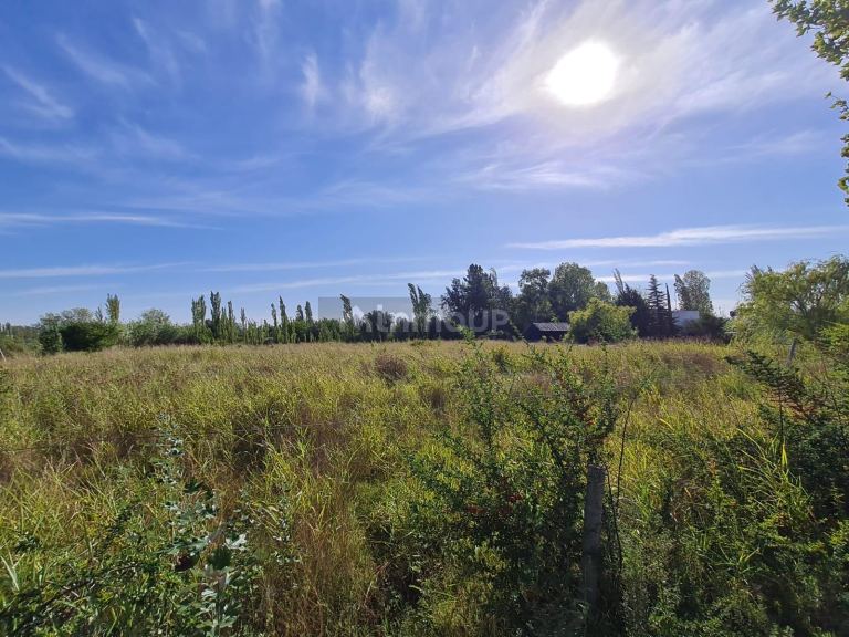 Finca en Venta en Rivadavia, Mendoza