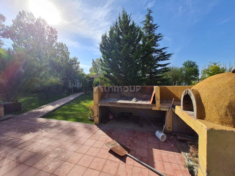 Finca en Venta en Rivadavia, Mendoza