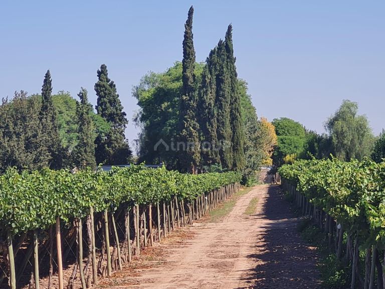 Finca en Venta en Guaymallen, Mendoza