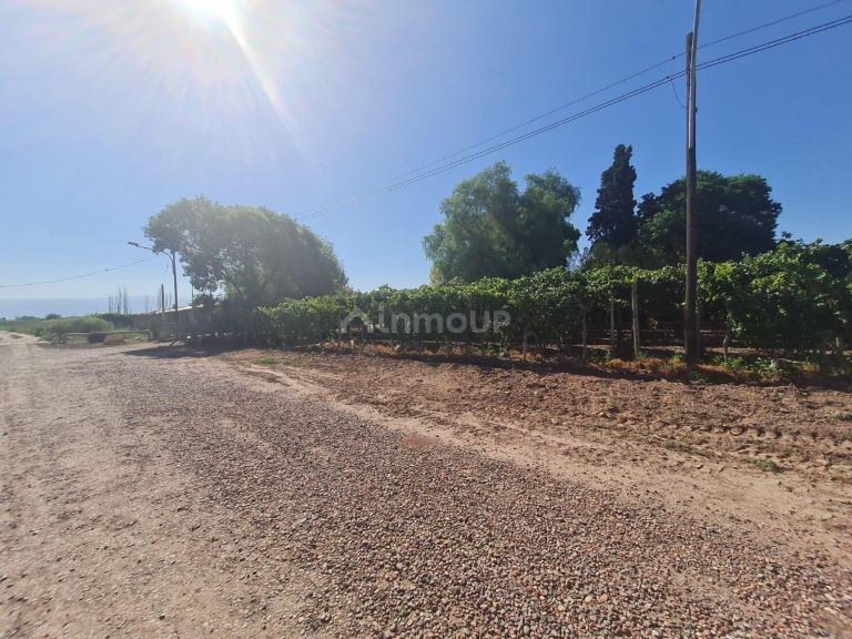 Finca en Venta en Guaymallen, Mendoza