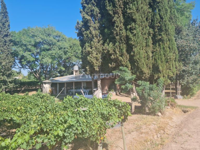 Finca en Venta en Guaymallen, Mendoza