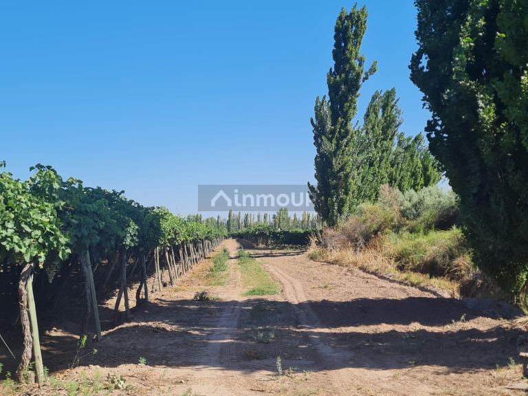 Finca en Venta en Guaymallen, Mendoza