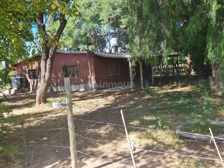 Finca en Venta en Guaymallen, Mendoza