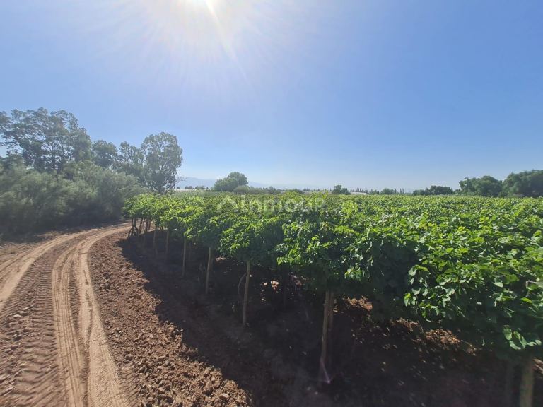Finca en Venta en Guaymallen, Mendoza