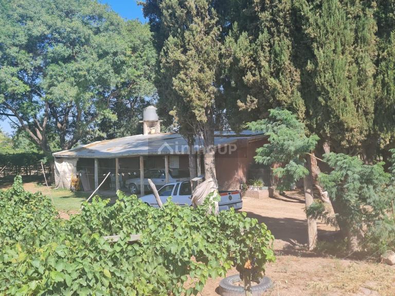 Finca en Venta en Guaymallen, Mendoza