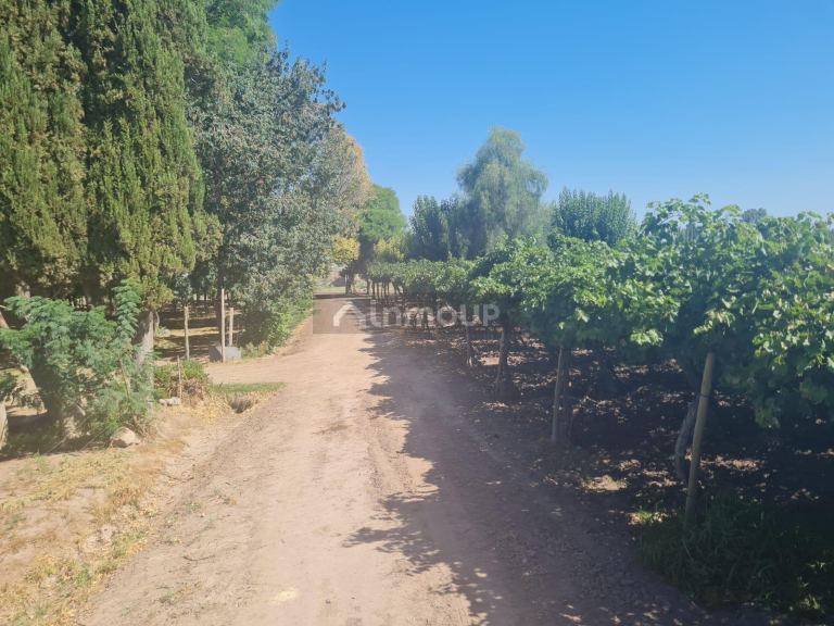 Finca en Venta en Guaymallen, Mendoza