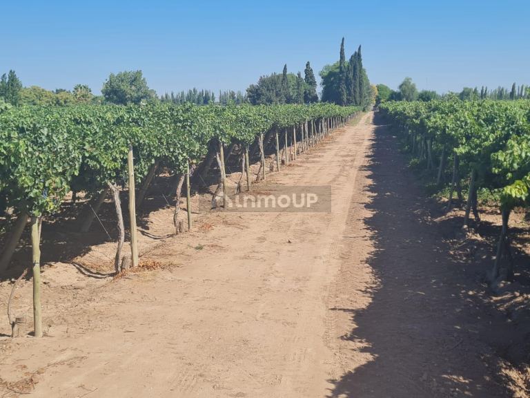 Finca en Venta en Guaymallen, Mendoza