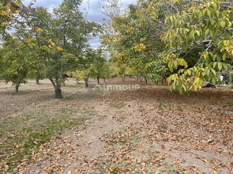 Finca en Venta en Tupungato, Mendoza