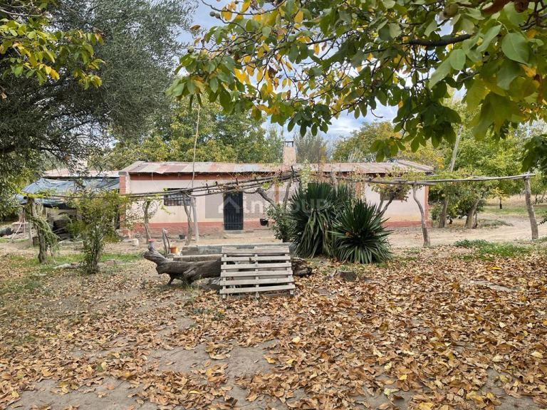 Finca en Venta en Tupungato, Mendoza