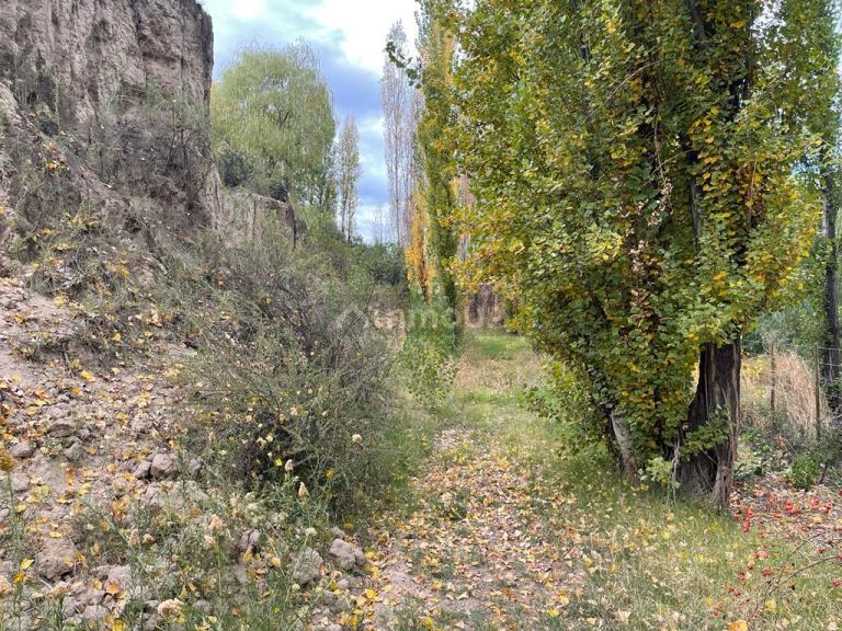 Finca en Venta en Tupungato, Mendoza