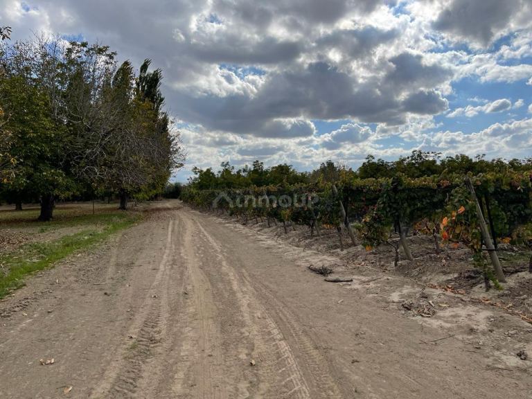 Finca en Venta en Tupungato, Mendoza