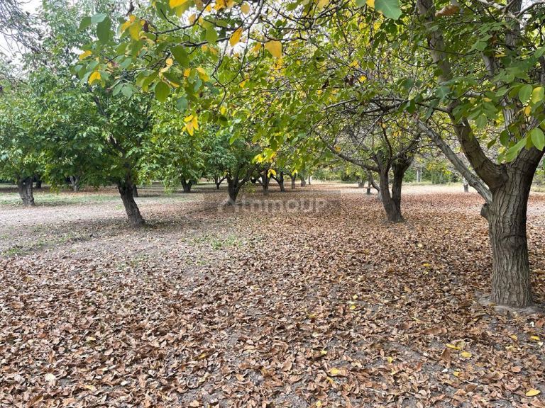 Finca en Venta en Tupungato, Mendoza