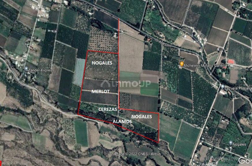 Finca en Venta en Tupungato, Mendoza
