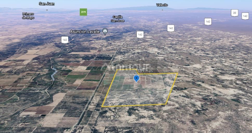 Finca en Venta en Lavalle, Mendoza