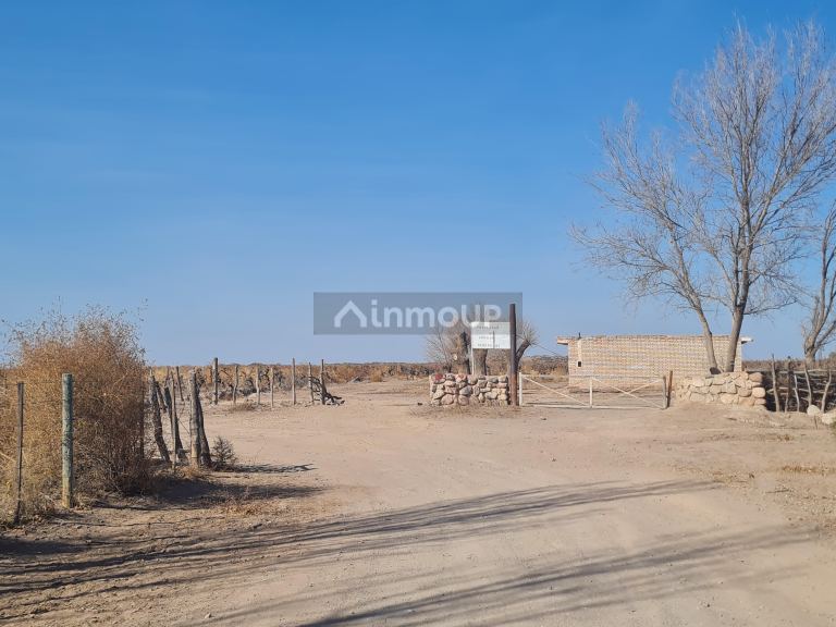 Finca en Venta en Lavalle, Mendoza