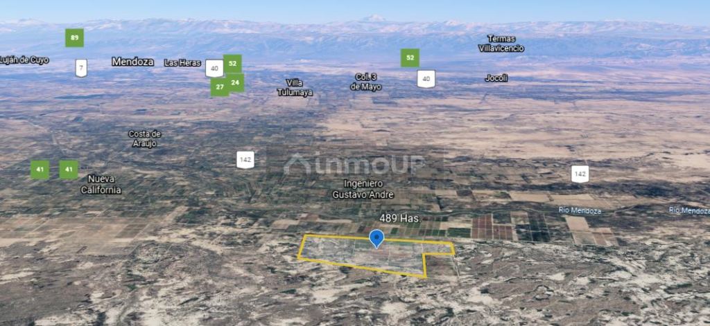 Finca en Venta en Lavalle, Mendoza