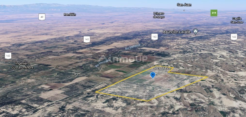 Finca en Venta en Lavalle, Mendoza