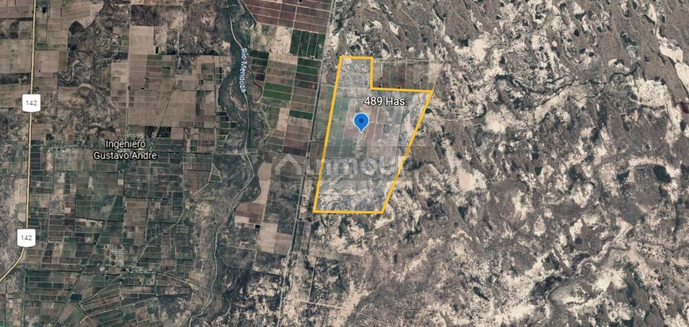 Finca en Venta en Lavalle, Mendoza
