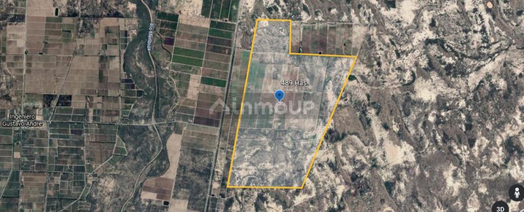 Finca en Venta en Lavalle, Mendoza