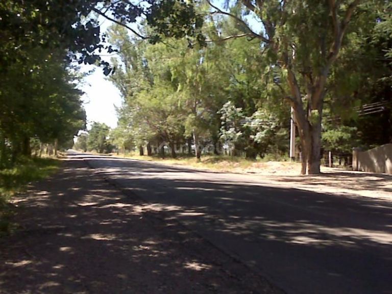 Finca en Venta en Lujan de Cuyo, Mendoza