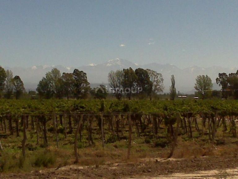 Finca en Venta en Lujan de Cuyo, Mendoza
