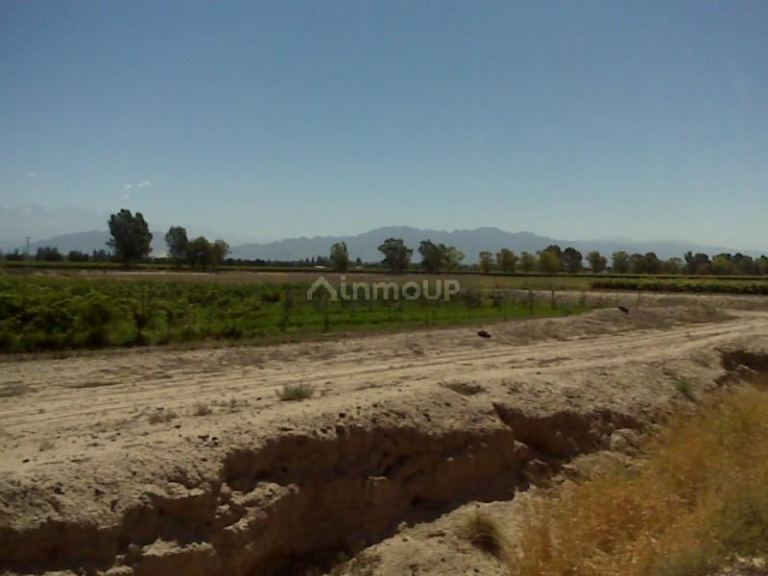Finca en Venta en Lujan de Cuyo, Mendoza