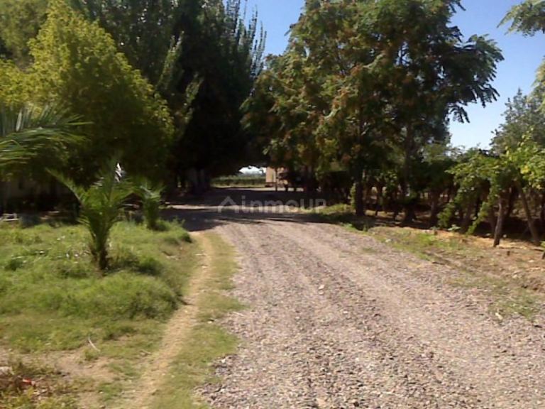 Finca en Venta en Lujan de Cuyo, Mendoza