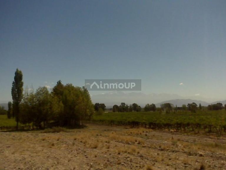 Finca en Venta en Lujan de Cuyo, Mendoza