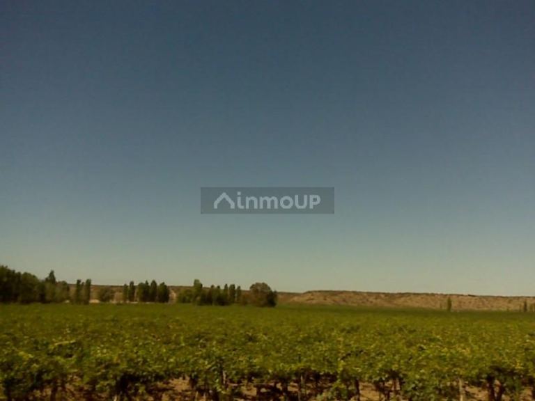 Finca en Venta en Lujan de Cuyo, Mendoza