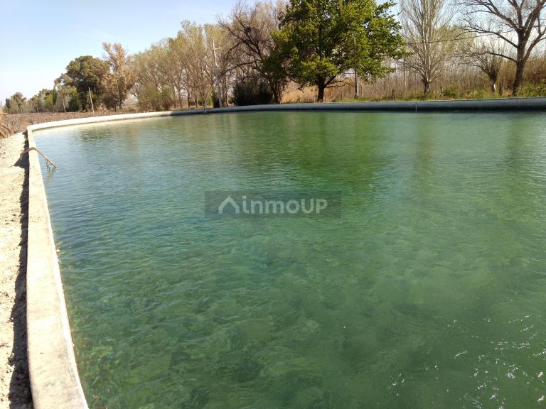 Finca en Venta en Lujan de Cuyo, Mendoza