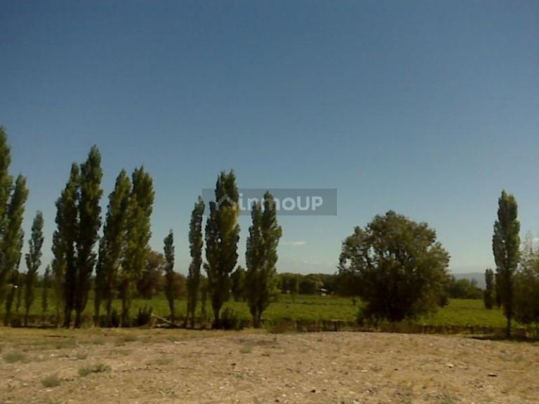 Finca en Venta en Lujan de Cuyo, Mendoza