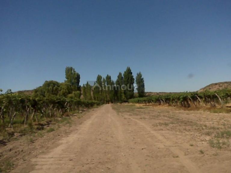 Finca en Venta en Lujan de Cuyo, Mendoza
