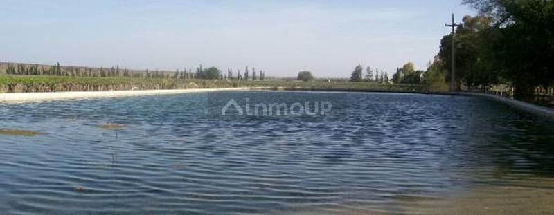 Finca en Venta en Lujan de Cuyo, Mendoza