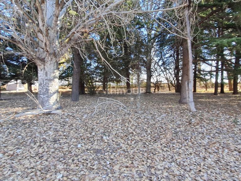 Finca en Venta en Lujan de Cuyo, Mendoza