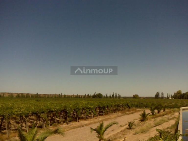 Finca en Venta en Lujan de Cuyo, Mendoza