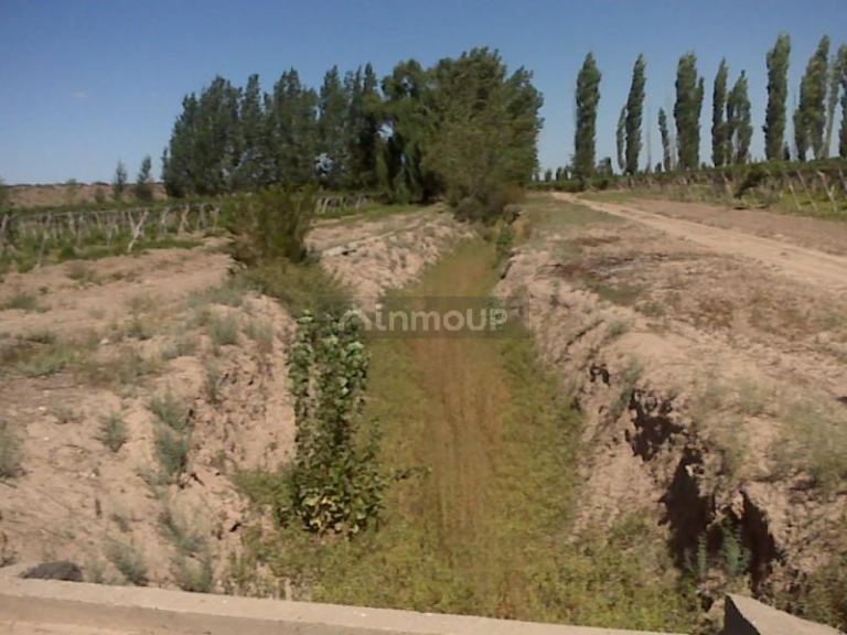 Finca en Venta en Lujan de Cuyo, Mendoza
