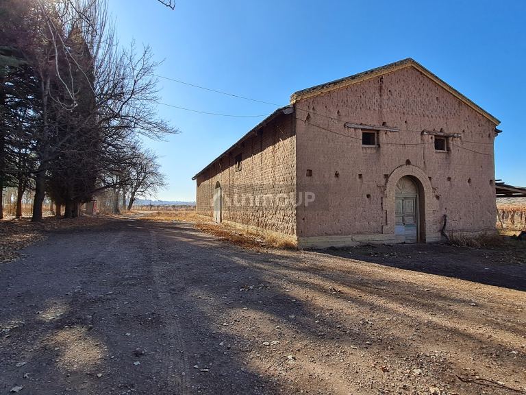 Finca en Venta en Lujan de Cuyo, Mendoza