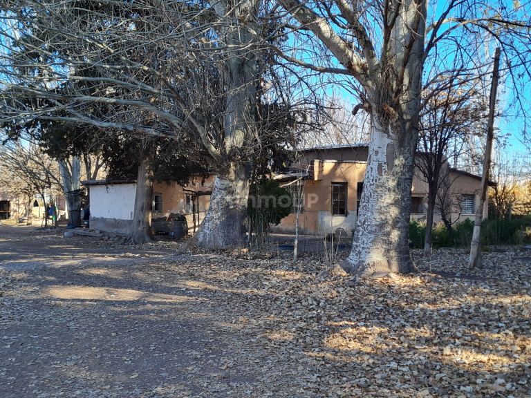 Finca en Venta en Lujan de Cuyo, Mendoza