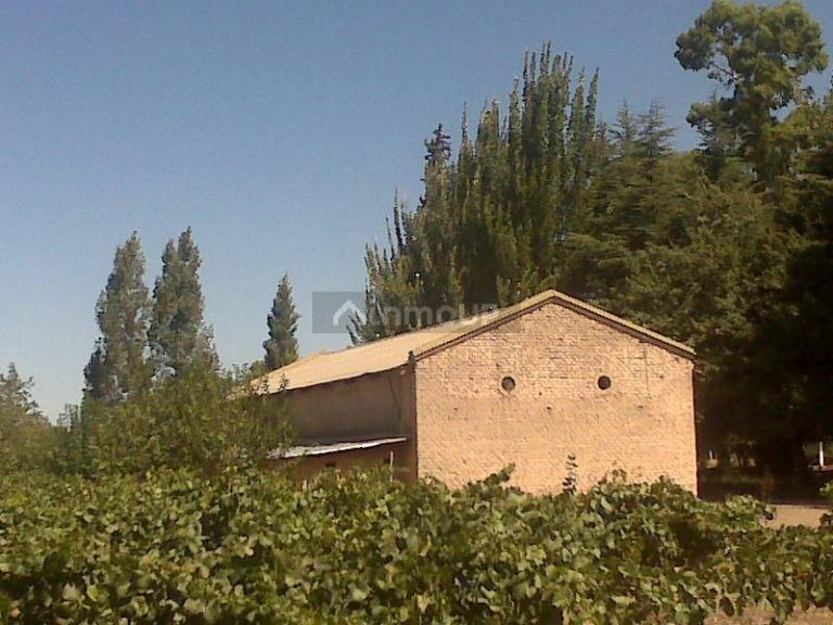 Finca en Venta en Lujan de Cuyo, Mendoza