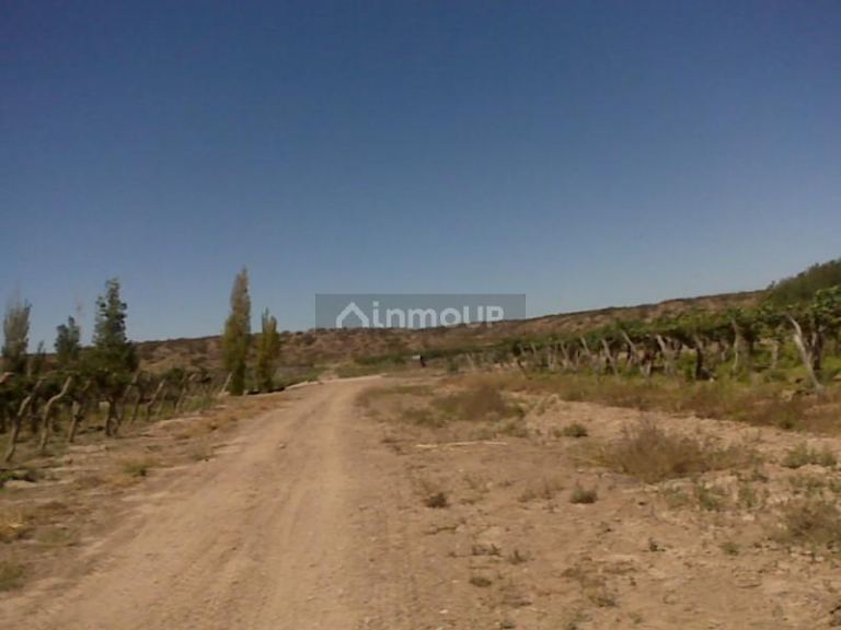 Finca en Venta en Lujan de Cuyo, Mendoza