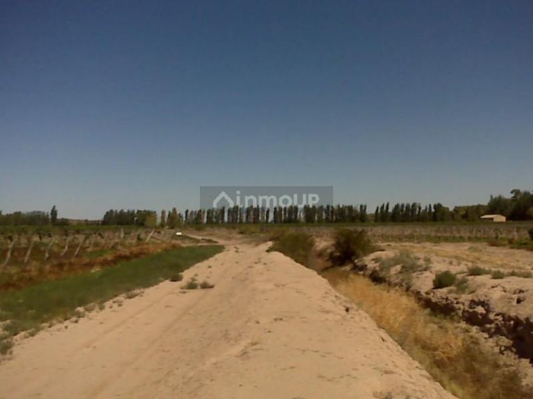 Finca en Venta en Lujan de Cuyo, Mendoza