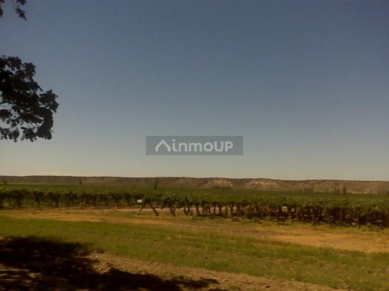 Finca en Venta en Lujan de Cuyo, Mendoza