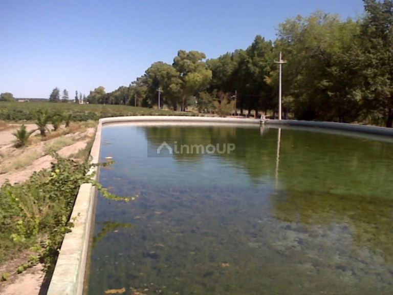 Finca en Venta en Lujan de Cuyo, Mendoza