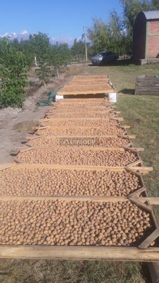 Finca en Venta en Tunuyan, Mendoza
