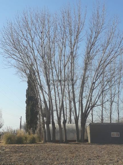 Finca en Venta en Tunuyan, Mendoza