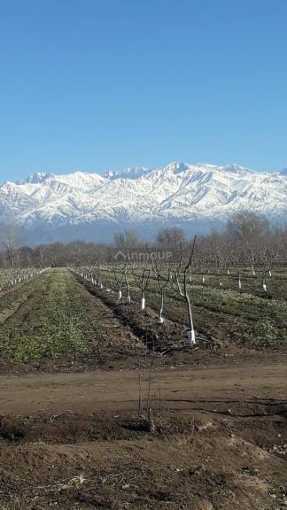 Finca en Venta en Tunuyan, Mendoza