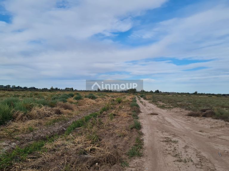 Finca en Venta en Lujan de Cuyo, Mendoza