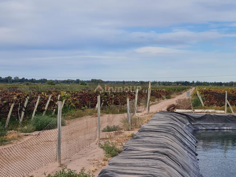 Finca en Venta en Lujan de Cuyo, Mendoza