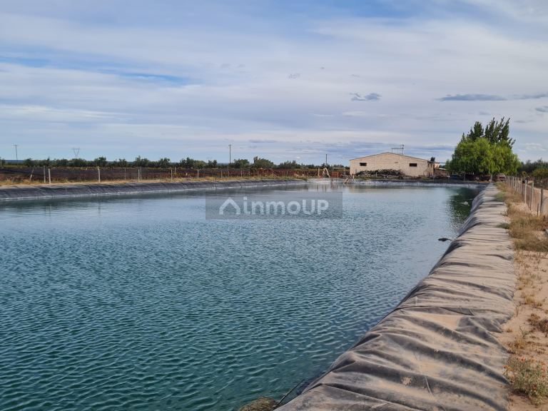 Finca en Venta en Lujan de Cuyo, Mendoza