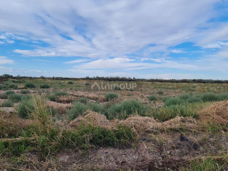 Finca en Venta en Lujan de Cuyo, Mendoza